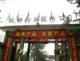风神轮胎